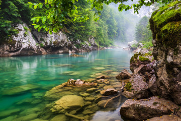 Mountain river in the canyon