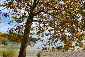 Insel Mainau im Bodensee 