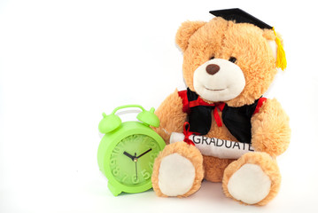 Teddy bear with graduation attire on white background.education concept