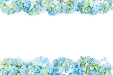 Flower border frame of blue hydrangea flowers on white background. Flat lay, top view. Floral background