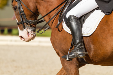 Obraz premium Jockey riding boot in the stirrup