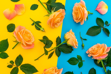 Floral pattern of orange roses with leaves on yellow and blue background. Flat lay, top view.