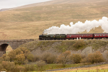 Fototapeta na wymiar steam train on north yorkshire moors
