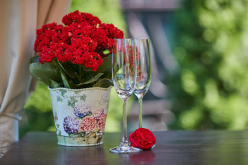 Obraz na płótnie Canvas red flower in a flower pot and two champagne glasses on the table