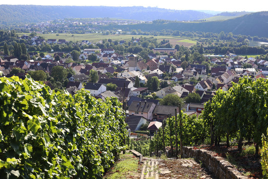 Blick auf Mundelsheim am Neckar