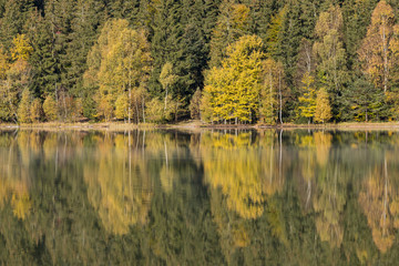 Fototapeta na wymiar Autumn landscape of the colorful forest, at the mountain lake edge, with beautiful reflexions