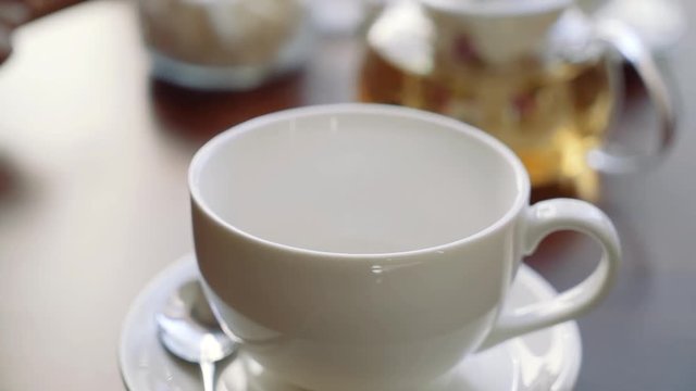 The hand of the girl puts sugar raffinate in a cup for tea.