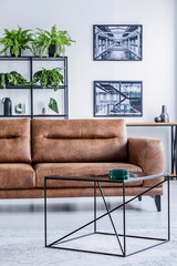 Vertical view of spacious living room with comfortable leather settee, coffee table and industrial posters on the white wall