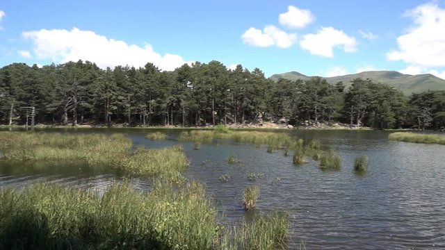 The bassa de oles in the Valle de Aran