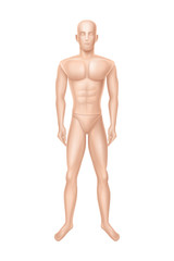 Vector 3d realistic male mannequin, full body of man. Human figure for training, athlete equipment isolated on white background. Naked doll, manikin for showcase of boutique, clothing store.