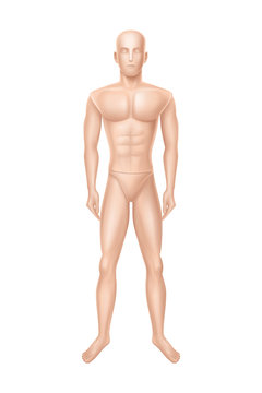 Vector 3d realistic male mannequin, full body of man. Human figure for training, athlete equipment isolated on white background. Naked doll, manikin for showcase of boutique, clothing store.