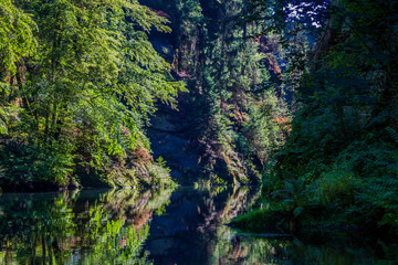 Kamnitzklamm in der Böhmische Schweiz