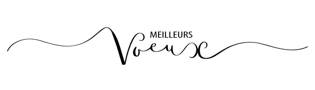 Bannière "MEILLEURS VOEUX"