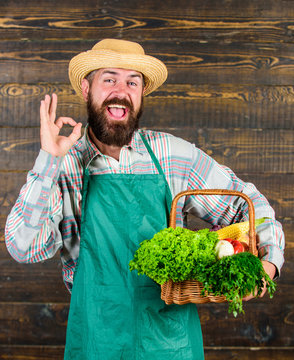 Farmer hipster straw hat deliver fresh vegetables. Fresh organic vegetables in wicker basket. Man bearded farmer wear apron presenting vegetables wooden background. Farm delivery fresh vegetables