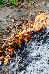 Fire in the garden. Burning autumn leaves 