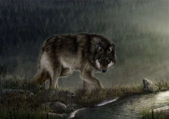 Fototapeta premium The Wolf