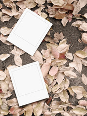 Two blank square instant photo frames on dry leaves and asphalt background