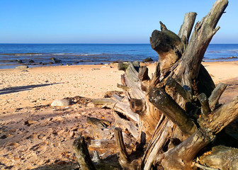 Fototapeta na wymiar Sea, beach, rocks and tree
