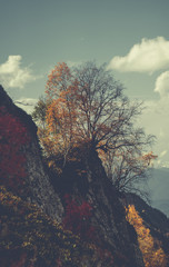 Autumn in the mountains of Krasnaya Polyana