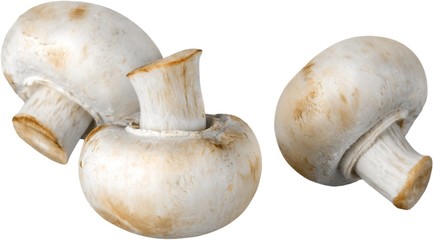 Three Champignons Mushrooms - Isolated