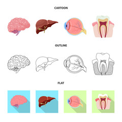 Isolated object of body and human symbol. Collection of body and medical vector icon for stock.