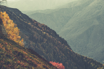 Autumn in the mountains of Krasnaya Polyana