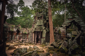 ta prohm temple in cambodia