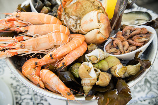 Plate with fresh assorted seafood in french summer restaurant. Close up image