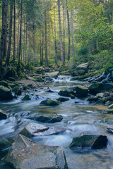 Fast river with stony shores in the forest