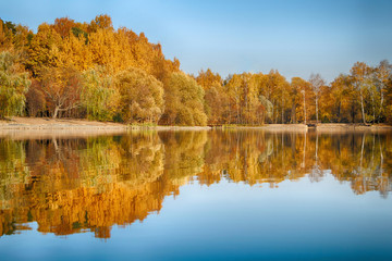 Panorama of a beautiful golden autumn forest with a lake in sunny weather with bright blue sky