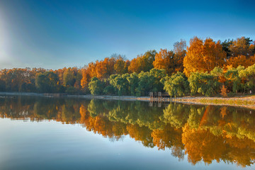 Panorama of a beautiful golden autumn forest with a lake in sunny weather with bright blue sky