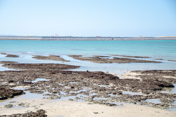 沖縄の海
