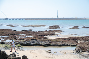 沖縄の海