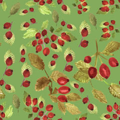 seamless pattern of wild rose fruits of red color on a green background