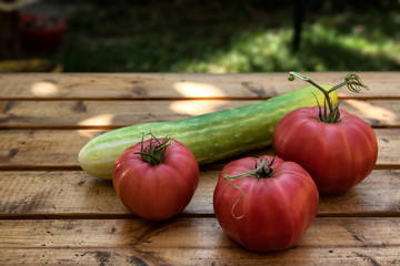 Organic Vegetables from a Small Garden on a Rustic Wooden Table - Tomatoes and Cucumber