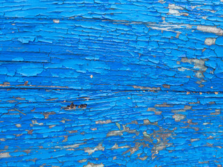 The texture of an old blue tree. Wooden background.