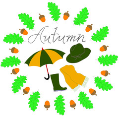 set of autumn icons. acorn and oak leaves