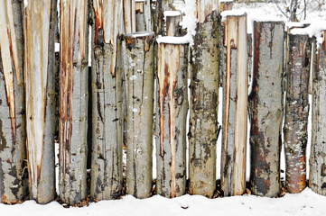 Log fence in the snow