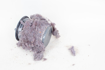 Vacuum cleaner filter and  dust