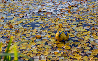 yellow ball in the lake with autumn foliage