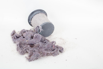 Vacuum cleaner filter and  dust