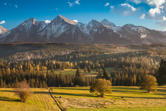 Tatra Mountains close up from Poland Slovakia border side