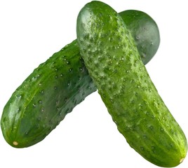Cucumbers vegetable ripe food fresh ground cucumbers cucumber