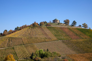 Weinberge im Herbst an der Grabkapelle  auf dem Württemberg, Stuttgart Rotenberg