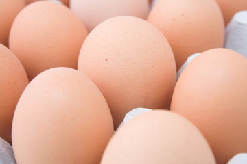 eggs
