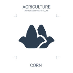 corn icon