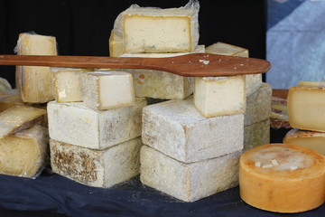 different forms of cheese