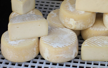 forms of white cheese at the market