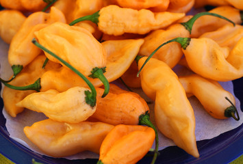 yellow peppers in the plate
