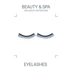 eyelashes icon